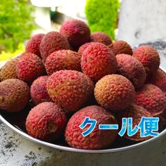 沖縄県産 生ライチ（レイシ）クール便