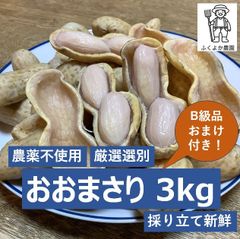おおまさり 5 kg(大粒落花生 ゆで専門) B級品おまけ付き ...