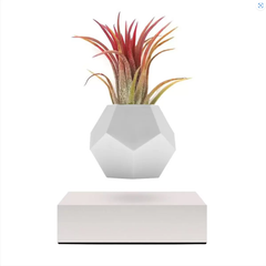 Flyte Lyfe (ライフ) 宙に浮かぶ 回るプランター 鑑賞 植木鉢 植物用 白