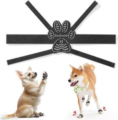 Item thumbnail for item 5f042a2b-4dcf-4048-b994-c13c727f097a