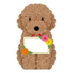 立体トイプードル　お花プレート型　グリーティングカード　メッセージカード　ポップアップカード　サンリオ　sanrio