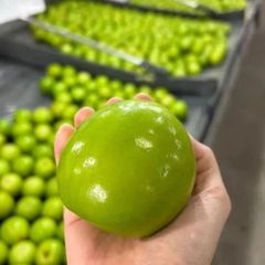 [3月6日入荷予定、入荷次第発送」台湾産ナツメ　2箱 5kg(40玉）