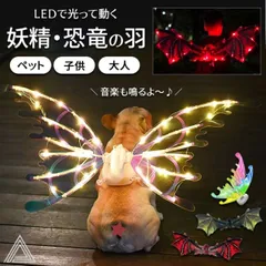 2025年最新】光る蝶々の羽 の人気アイテム - メルカリ