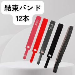 ⭐️新品⭐️ CTRIC 結束バンド 12本セット 配線整理 ケーブル固定用