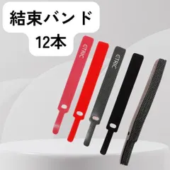⭐️新品⭐️ CTRIC 結束バンド 12本セット 配線整理 ケーブル固定用