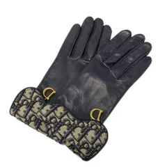 2025年最新】dior グローブの人気アイテム - メルカリ