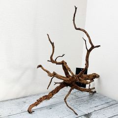 【全方位型枝】プレミアムブランチウッド/Branchwood【B008】