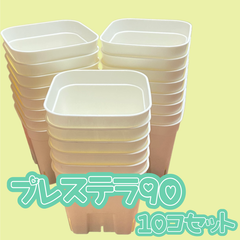 なおこ追加あられ⑱大きめ!❣️ ももホイップ❣️6苗メルカリ便送料込 かいぬま多肉店 - メルカリShops