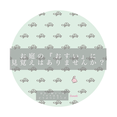 ¥1650円→ うさぎとカメ　おすい枡・雨水枡シール　動物　ますハナ　　耐熱耐候