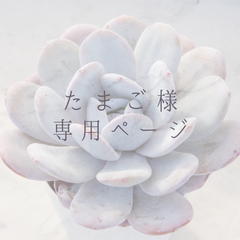 たまご様専用