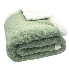 【人気商品】厚手150x205cm セミダブル おしゃれ 二枚合わせ 冬用 ブランケット 大判 北欧風ボア 毛布 軽量掛け毛布 抗菌防臭 Mokoya 防ダニ 静電抑制(グリーン)