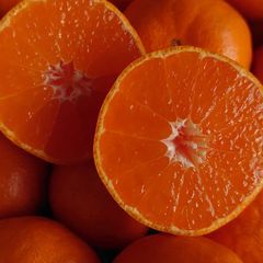 佐瀬みかん S 赤秀品 5kg 甘くて美味しいみかんです。