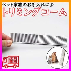 Item thumbnail for item 650ca2e6-c526-4e47-8374-cade81c01969