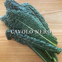 イタリア野菜 カーボロネロ 約500g