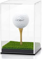 Item thumbnail for item 7c59a67b-25b7-4960-a81b-f59bf573fda3