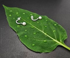 PT900 パール イヤリング D0.17ct 7.0mm