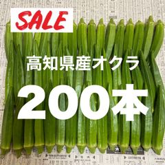 200本 高知県産 オクラ おくら 即購入OK 産地直送