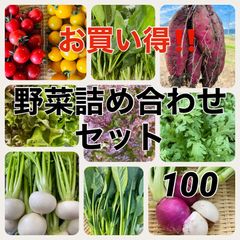 9種類‼️お買い得‼️野菜詰め合わせセット‼️１００サイズ‼️もものすけ入り‼️
