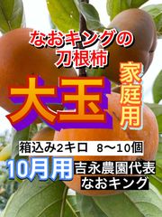 あいちゃんさん専用 ハウス柿 家庭用 箱込み10キロ なおキングの柿 吉永農園 なおキングの柿 - メルカリShops