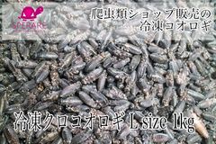 冷凍クロコオロギ L size 1kg (約1100~1300匹)