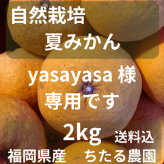 yasayasa様専用になります❁⃘