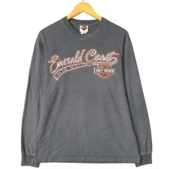 古着 ハーレーダビッドソン Harley-Davidson モーターサイクル バイクTシャツ メンズM相当/eaa568699
