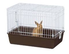 Item thumbnail for item 823384ac-e372-489f-aa87-420ee2dab8f3