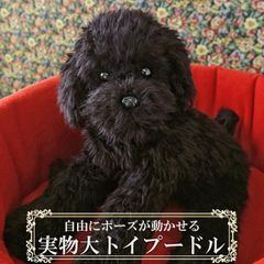Melissa & Doug ラブラドール ぬいぐるみ 黒ラブ リアル 大きい - メルカリ