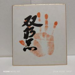 安青錦手形と番付表 - メルカリ