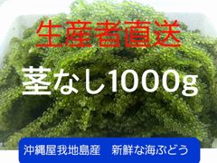 沖縄県産】生海ぶどう 茎なしA級たっぷり1kg ☆タレ10p付き ♡送料込み