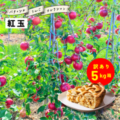 ９月下旬発送予定「紅玉5キロ箱訳あり品」 紅玉 ジョナサン 加工 生食 訳あり お買い得 格外 お菓子作り 送料無料