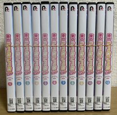 超時空要塞マクロス DVD全巻セット - メルカリ