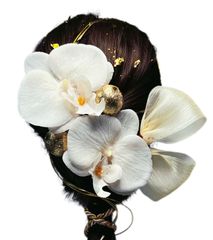 Item thumbnail for item c64d88cc-2f67-4b92-b82a-83f3164b5f2a