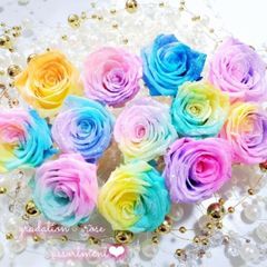 グラデーションローズアソート❁⃘*.ﾟ12輪 花材 プリザーブドフラワー
