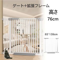 Item thumbnail for item 75fbc2e8-ff2e-4fec-9e97-7ab0ce5989e2