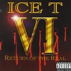 Ice T VI: Return Of The Real(中古品)