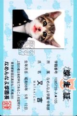 ワンタメ カード ゲストカード 猫 - メルカリ