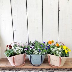 季節のおまかせ寄せ植えトートバッグ型3カラー