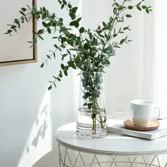 【数量限定】ガラスベース 花瓶ガラス 花器 22cm フラワーベース ガラスボトル 透明 北欧 アレンジ インテリア 水栽培 生け花 造花 おしゃれ シンプル インテリア (hbbl-vase-touming-25cm)