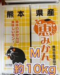 熊本県産　恵みかん（早生）　くまモン箱入り　Mサイズ約10kg