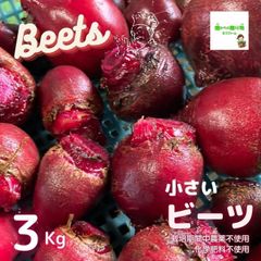 ☆農薬や化学肥料は使用しておりません　小さいビーツ　埼玉県産　約３kg（※サイズは約３ｃｍ〜７ｃｍの小さいものになります）