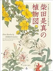 2025年最新】柴田是真の人気アイテム - メルカリ