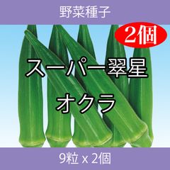 野菜種子 EAP スーパー翠星オクラ 9粒 x 2個