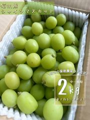 長野産生プルーン サンタス 1kg 農家直送- メルカリ