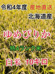 令和4年産 北海道米  ゆめぴりか 10キロ　特Aランク　ブランド米　農家直送