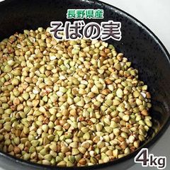 そばの実４ｋｇ　長野県産　2024年産　【配送地域限定】