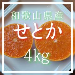 せとか 4㎏ 和歌山