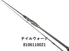 テイルウォーク ソルティシェイプ　メタルイカ　S70L/SL (01-8106110021)