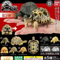 生き物大図鑑かめ　まとめ売り 2025年最新】生き物大図鑑 カメの人気アイテム - メルカリ