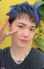 【中古】コレクションカード(男性) TREASURE/ドヨン/裏面ピンク/「TREASURE TOUR HELLO IN SEOUL」トレーディングフォトカード TYPE E